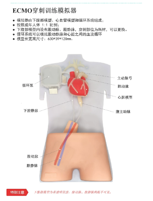 ECMO訓(xùn)練模擬器