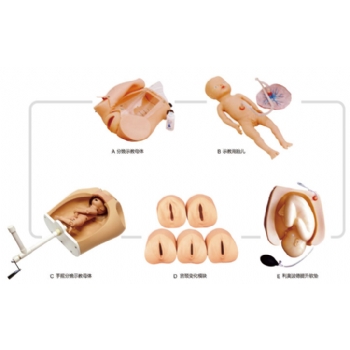 高級(jí)腹部觸診、分娩機(jī)轉(zhuǎn)綜合模型